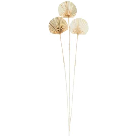 Brown Dried Palm Foliage Bundle